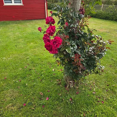 Chez Arthur Et Azelie Saint-Riquier-ès-Plains